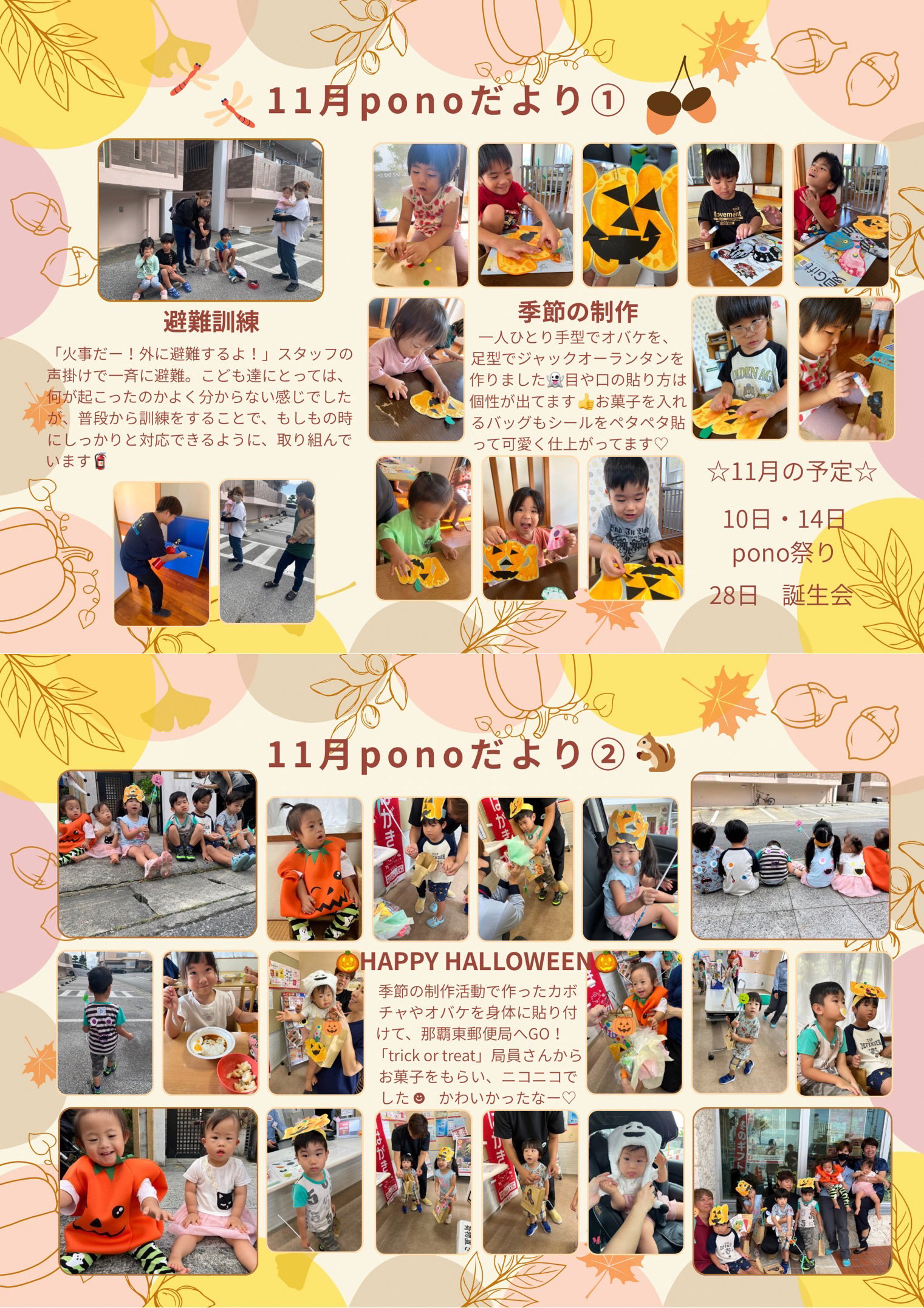 ponoだより2025年11月